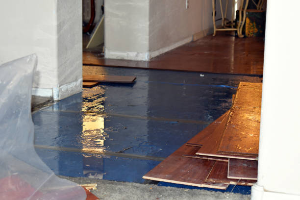 Professional Basement Flood Cleanup technician working in Omar, WV